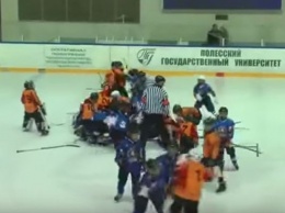 Стенка на стенку. Юные хоккеисты устроили массовое побоище на льду
