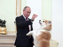Немецкий журнал Focus назвал Путина собакой