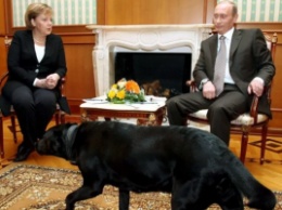 В немецкой прессе Путина назвали собакой: зреет скандал