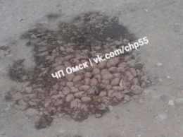 В России ямы на дорогах заделывают картофелем