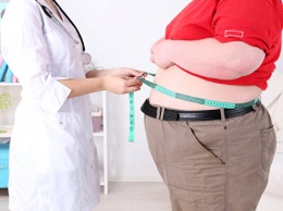Российские ученые выяснили, как связаны ожирение и воспаление