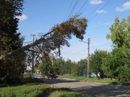 На Луганщине почти справились с последствиями ураганного удара