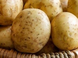 Урожай с гнильцой: Кропивницкому грозит дефицит хорошей картошки