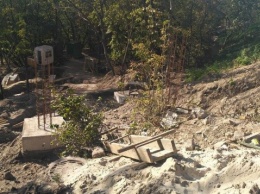 Из-за ремонта лестницы с Пейзажной аллеи уничтожили десятки деревьев (фото)