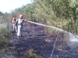 Жара и пожары терзают Луганщину