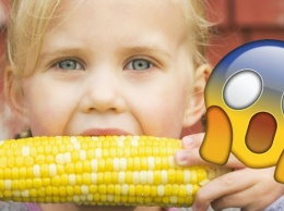 6 шокирующих причин больше никогда не есть кукурузу