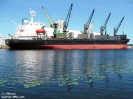 В Бердянском порту погрузили горох на 172-метровое судно для отправки в Индию