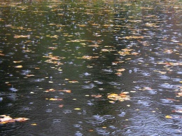 Неделя в Херсонской области завершится дождями и грозами