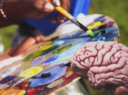 Сканирование мозга поможет детям выбрать профессию в будущем