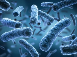 Биологи нашли тысячи неизвестных микробов в теле человека
