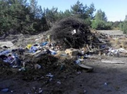 Офицерам-участникам АТО выделили земельные участки на мусорнике, - Тымчук