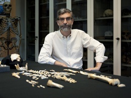 Палеонтологи выяснили, чем мозг неандертальцев отличался от мозга людей