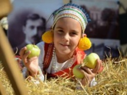 Феерия света и антоновские яблоки: что ждет туристов в ближайшие выходные