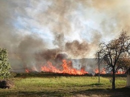 В Любашевском районе вспыхнул пожар