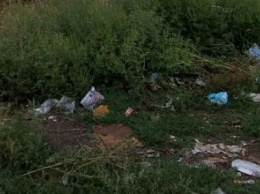 Криворожане создали на месте санитарно-защитной зоны мусорную свалку (ФОТО)