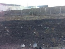 Полиция расследует причины пожара под Новоянисолью (ФОТО)