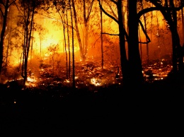 ГСЧС предупреждает жителей Украины о высшем уровне пожарной опасности