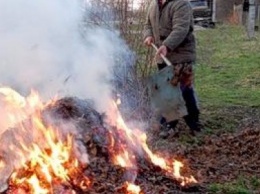 Мариупольцев будут штрафовать за сжигание листвы