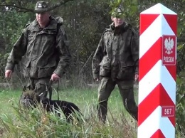 Нововведения: поехать на заработки в Польшу будет гораздо сложнее