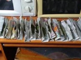 У жителя Бердянска полиция изъяла 20 килограмм наркотических средств