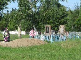 В Павлограде коммунальщики не справляются с удалением деревьев на кладбищах