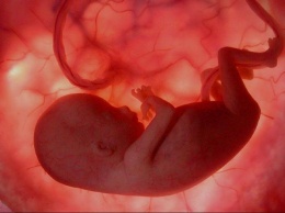 В Китае провели операцию по редактированию генома эмбриона
