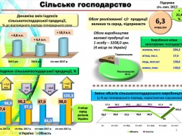 Николаевщина четвертая в Украине по объему сельскохозяйственного производства