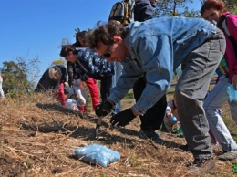 «Отчаянные цветоводы»: активисты высадили больше семи тысяч луковиц тюльпанов, ирисов и нарциссов на одесских склонах