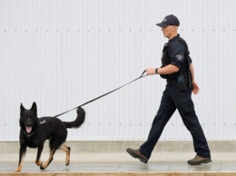 В Канаде полицейский пес выстрелил в грабителей из пистолета