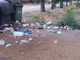 Херсонские дворы утопают в мусоре