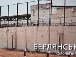 В запорожской колонии ВИЧ-инфицированные чистят бычки на продажу (Видео)