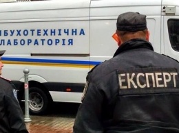Спасатели обезвредили почти 1000 боеприпасов в районе Калиновки