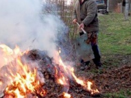 Северодончан просят не сжигать листву
