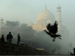 Власти Индии не желают видеть туристов у Тадж-Махала