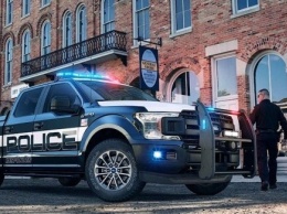 Полиция США получит пикапы Ford F-150 для погонь и бездорожья