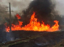 В Запорожской области из-за пожара на железной дороге задержали два поезда