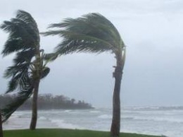 В Атлантике сформировался новый шторм «Офелия»