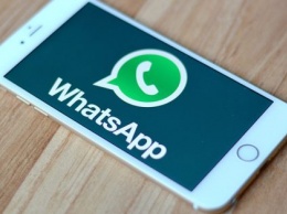 Ошибка в WhatsApp позволяет следить за пользователями