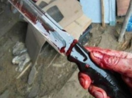 Престарелый житель Запорожской области нанес супруге 14 ножевых ранений