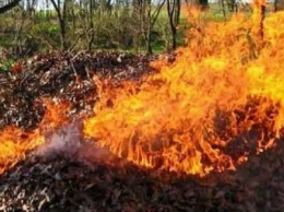 Добропольчан предупреждают: массовое сжигание листвы несет прямую угрозу здоровью