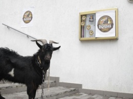 "Азов" привел под посольство Чехии козла, который олицетворяет президента Земана (ФОТО)