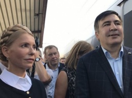 Манн: «Тимошенко не будет участвовать в «майдане» Саакашвили»