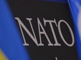 Пономарь: Украина быстро сближается с НАТО