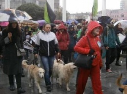 "Стерилизации - да, убийству - нет": в Харькове прошел марш за права животных