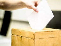 Голосование на выборах президента Кыргызстана завершилось, лидирует кандидат от пропрезидентской партии