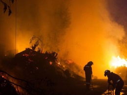 В Испании разгорелись лесные пожары, есть погибшие