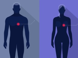 Ученые нашли отличие в работе сердца мужчин и женщин