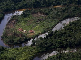 Ученые: нелегальные шахтеры оказались главными врагами лесов Амазонии
