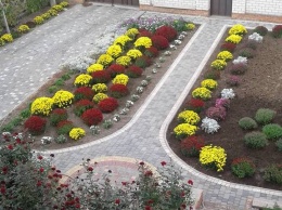 Херсонка создала свой осенний парад хризантем (фото)
