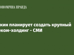 Ложкин планирует создать крупный телеком-холдинг - СМИ